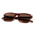 Ridgeline Whiskey Brown Tortoise